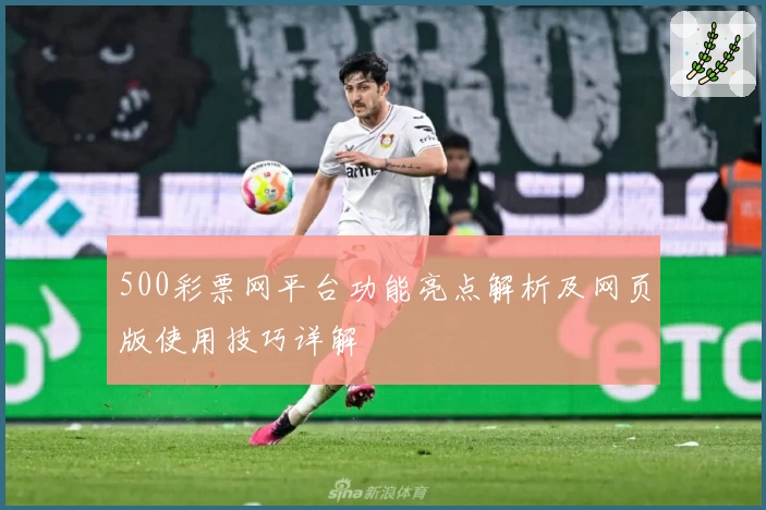 500彩票网平台功能亮点解析及网页版使用技巧详解