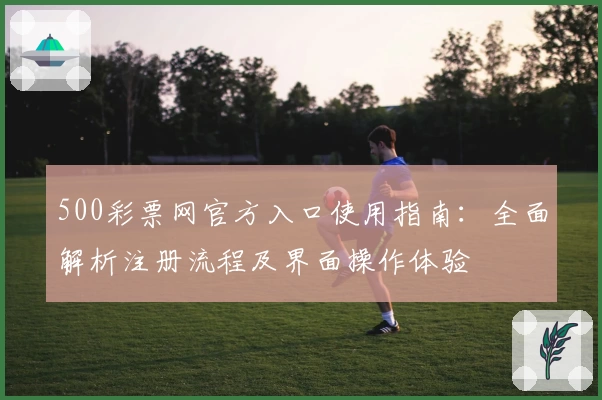 500彩票网官方入口使用指南：全面解析注册流程及界面操作体验